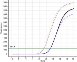 TopPURE® Food DNA Extraction Kit