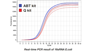 Kết quả Real-time PCR và điện di của 16sRNA Ecoli sau khi sử dụng phương pháp tách chiết cột ABT