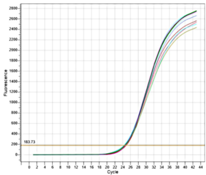 TopPURE® Maga SERUM DNA EXTRACTION KIT